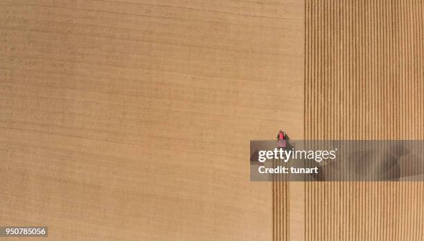 aerial view of plowing fields - simplicity concept imagens e fotografias de stock