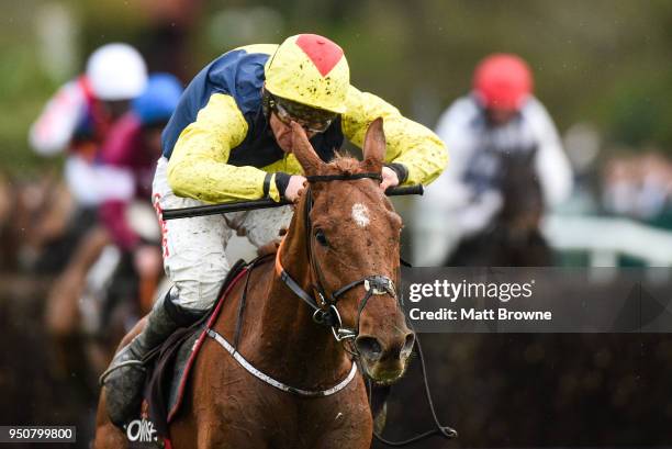Naas , Ireland - 24 April 2018; The Storyteller, with Davy Russell up, after jumping the last on their way to winning The Growise Champion Novice...