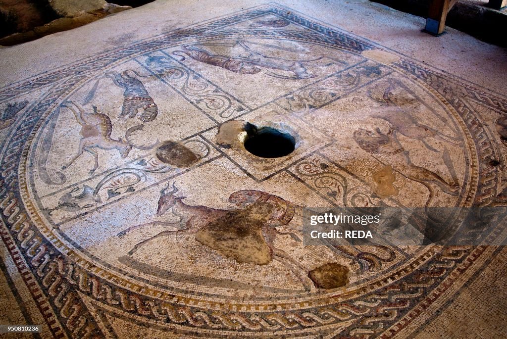 Insula Romana. Archeological site. Marsala. Sicily. Italy. Europe