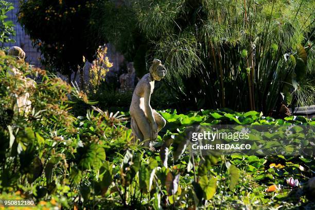Waterlilies and statues, Favignana island, Aegadian Islands, Sicily, Italy.