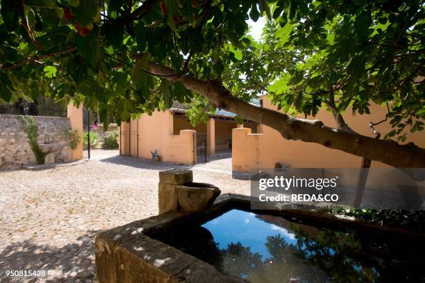 Planeta wineries, Sambuca di Sicilia, tenuta dell'Ulmo, Sicily, Italy, Europe.