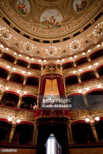 Massimo Bellini theatre, Catania, Sicily, italy, Europe.