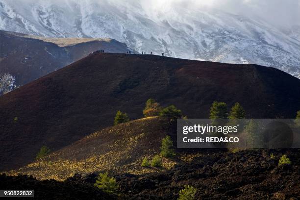 Sartorius mountain, Etna Natural Park, Catania, Sicily, Italy, Europe.