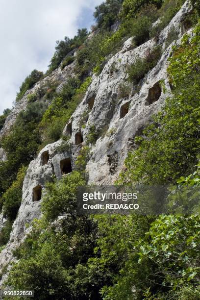 Square rock-cut tombs, Rocky Necropolis of Pantalica, dating from the 13th to the 7th centuries bc, UNESCO World Heritage Sites, river Anapo valley,...