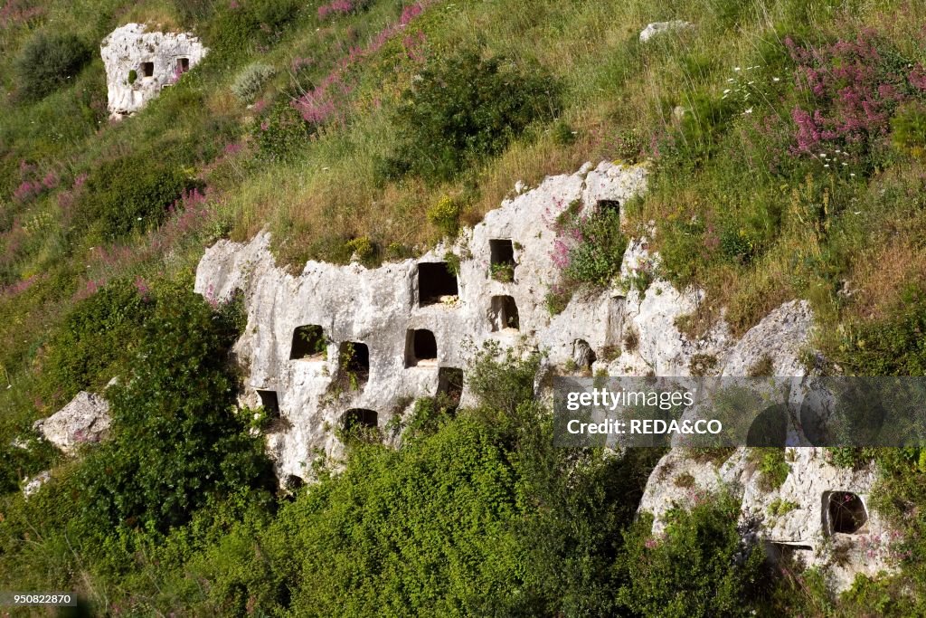 Square rock-cut tombs. Rocky Necropolis of Pantalica. dating from the 13th to the 7th centuries bc. UNESCO World Heritage Sites. river Anapo valley. Syracuse. Sicily. Italy. Europe