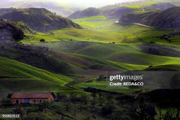 Countryside near Contrada Muxarello village, Agrigento province, Sicily, Italy, Europe.