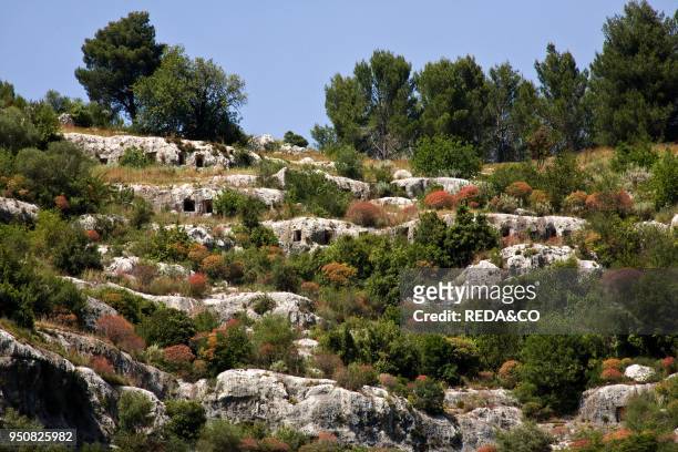 Square rock-cut tombs, Rocky Necropolis of Pantalica, dating from the 13th to the 7th centuries bc, UNESCO World Heritage Sites, river Anapo valley,...