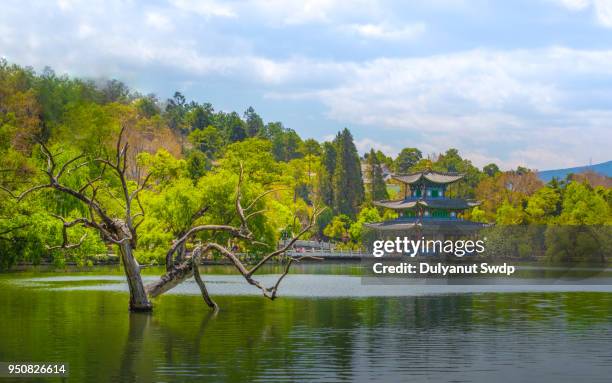 black dragon pool lijiang yunnan province china. - black dragon pool park stockfoto's en -beelden