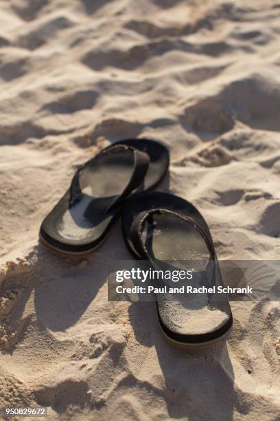 black flip-flop sandals in sand on the beach - badelatsche stock-fotos und bilder