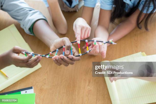 unrecognizable student examine dna helix model - preteen girl models stock pictures, royalty-free photos & images