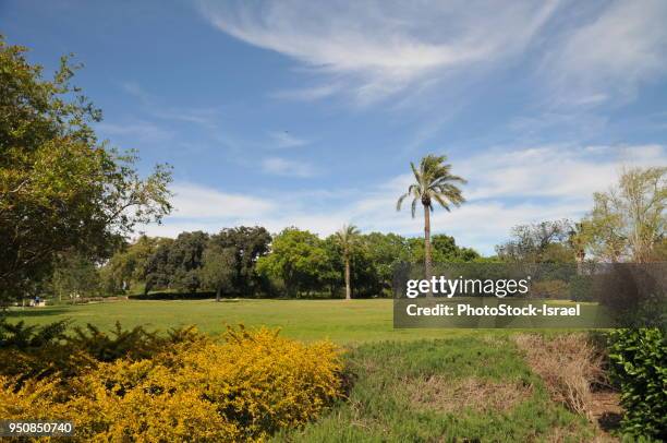 ramat hanadiv gardens - rothschild family stock pictures, royalty-free photos & images