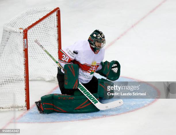 Adam Vay of Hungary saves during the 2018 IIHF Ice Hockey World Championship Division I Group A match between Italy and Hungary at Laszlo Papp...