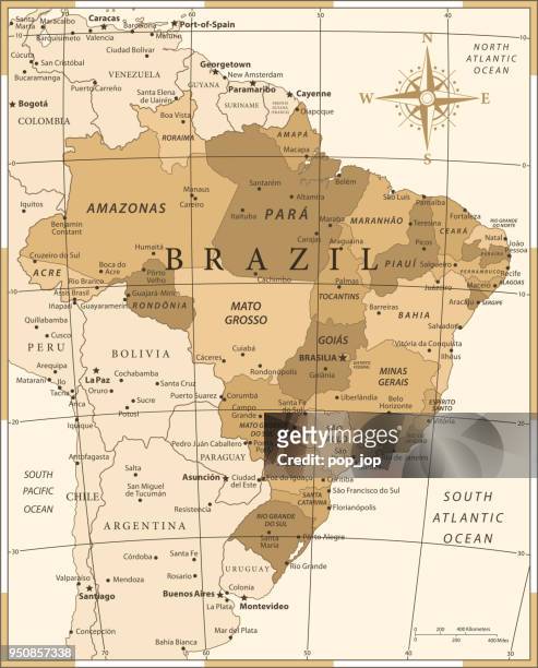 25 - brazil - vintage golden 10 - paraguay map stock illustrations