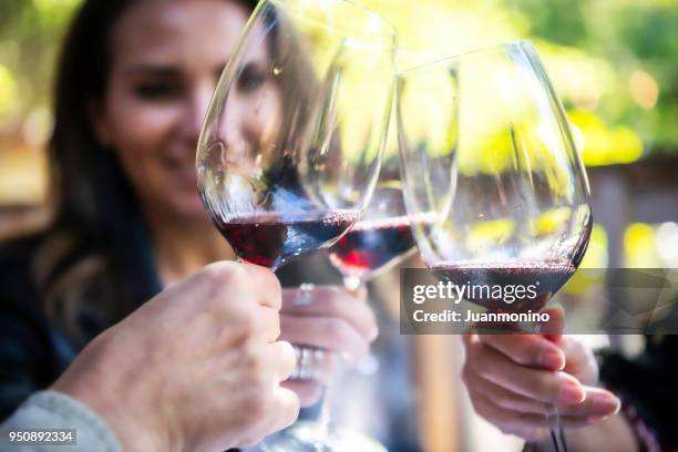 toasting - sonoma stock pictures, royalty-free photos & images