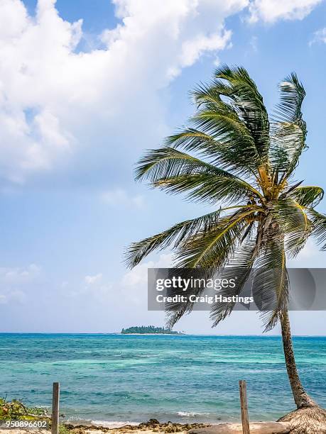 caribbean coast - aqua restaurant lounge stock pictures, royalty-free photos & images