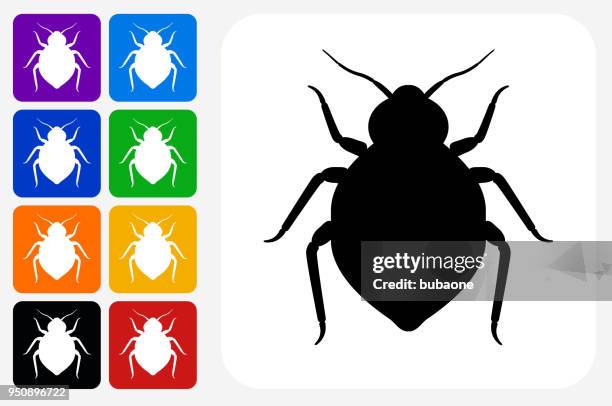 bedbug icon square button set - bed bugs vector stock illustrations
