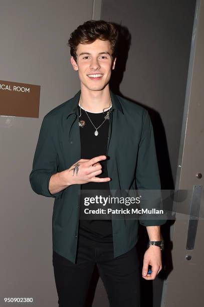 Shawn Mendes attends the 2018 TIME 100 Gala at Jazz at Lincoln Center on April 24, 2018 in New York City.