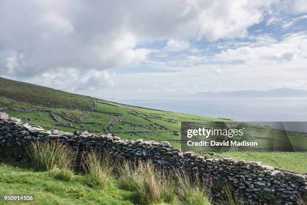 slea head, dingle, ireland - pared de piedra fotografías e imágenes de stock