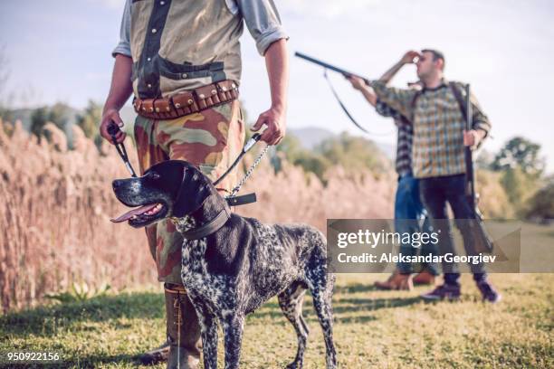 group of hunters with their dogs going for hunting action - hobby bird of prey stock pictures, royalty-free photos & images