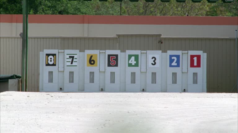 Dog Racing Numbers Dog Racing Track Videos and HD Footage - Getty Images