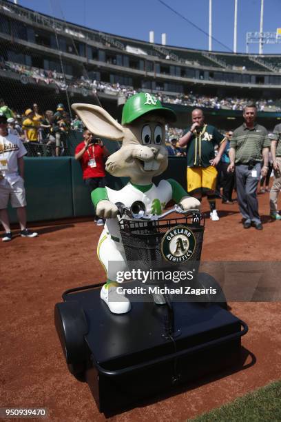 Harvey The Rabbit Photos and Premium High Res Pictures - Getty Images