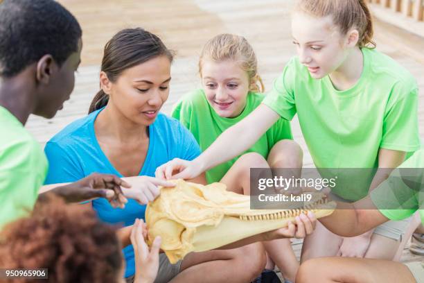 teacher and children examining model of dolphin head - field trip stock pictures, royalty-free photos & images