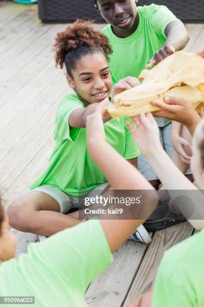 children on field trip examining animal skull - fishbone imagens e fotografias de stock