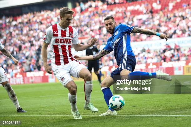 Guido Burgstaller of Schalke and Tim Handwerker of 1.FC Koeln battle for the ball during the Bundesliga match between 1. FC Koeln and FC Schalke 04...