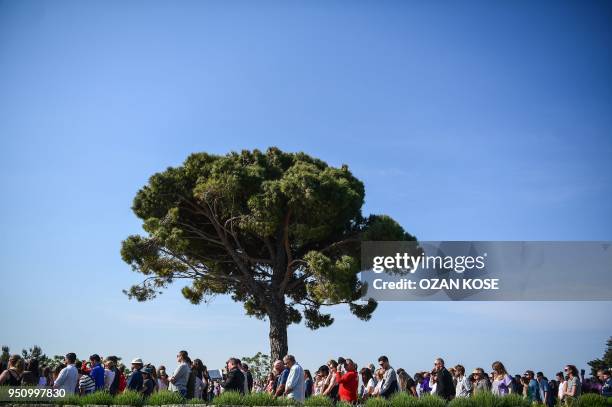 People gather around a pine tree as they attend a ceremony marking the 103rd anniversary of ANZAC Day at Lone Pine Cemetery on the Gallipoli...