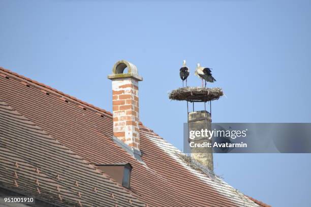 rust - stork - empty nest stock pictures, royalty-free photos & images