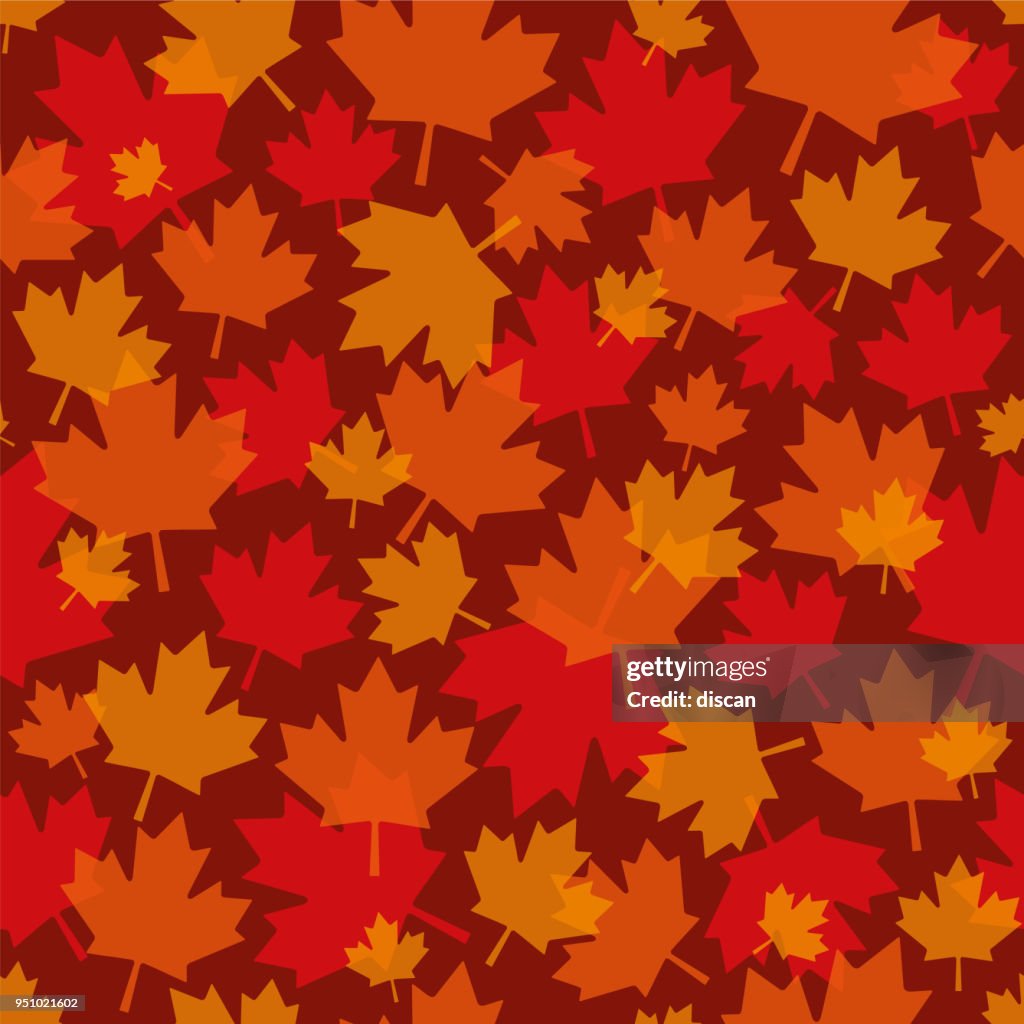 Maple Design Maple Leaf Pattern Maple Leaf PNG & SVG Design For T Shirts