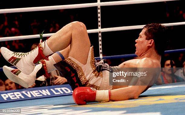 Julio Cesar Chavez of Mexico hits the canvas after being knocked down by challenger Frankie Randall of the U.S. In the 11th round of their WBC super...