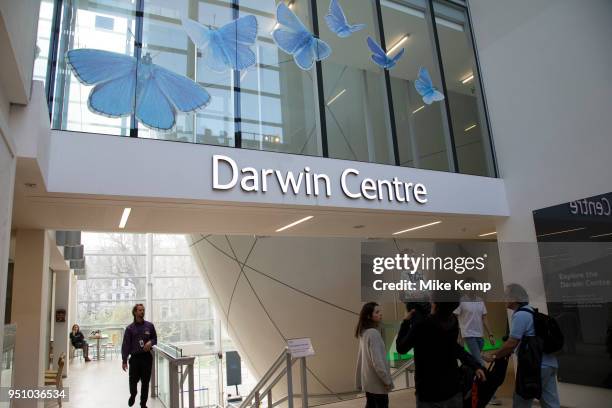 The Darwin Centre at the Natural History Museum in London, England, United Kingdom. The museum exhibits a vast range of specimens from various...