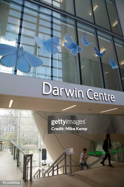 The Darwin Centre at the Natural History Museum in London, England, United Kingdom. The museum exhibits a vast range of specimens from various...