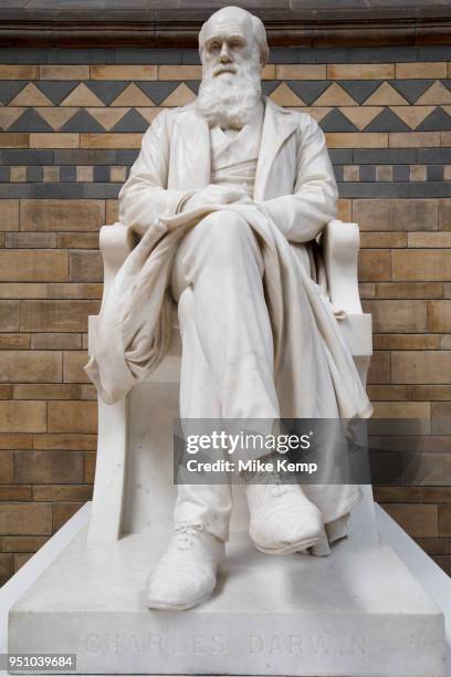 Statue of Charles Darwin at the Natural History Museum in London, England, United Kingdom. The museum exhibits a vast range of specimens from various...