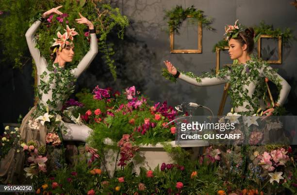 Dancers Alison Parsons and Georgia Paton-Durrant pose in a floral display during a photocall on the eve of the opening day of the Harrogate Spring...
