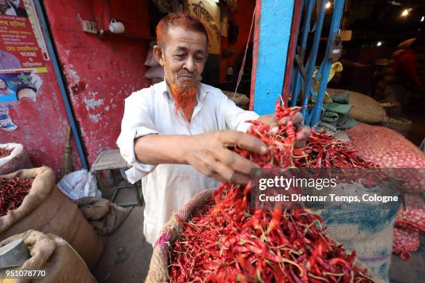 market vendor with chilies in dhaka, bangladesh - dietmar temps stockfoto's en -beelden