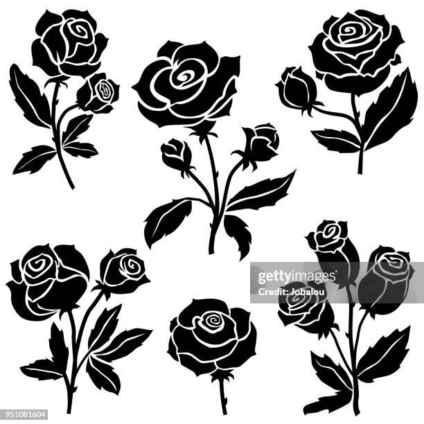 bildbanksillustrationer, clip art samt tecknat material och ikoner med rosa blommor samling - ros