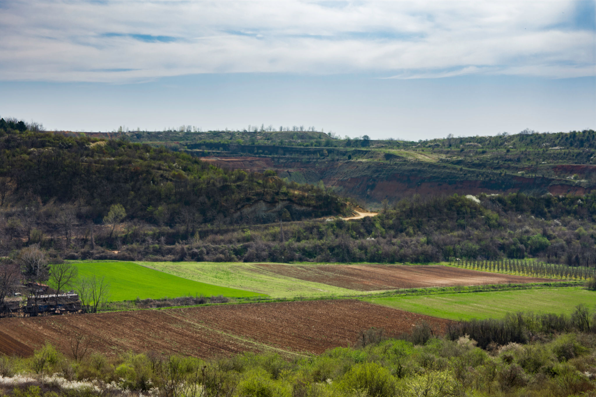 orcut landscape