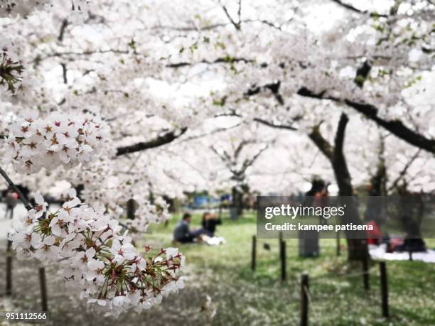 tsuruga castle or aizuwakamatsu castle with sakura trees, otemachi, aizuwakamatsu, fukushima prefecture, japan."n - tsuruga fukui stock-fotos und bilder