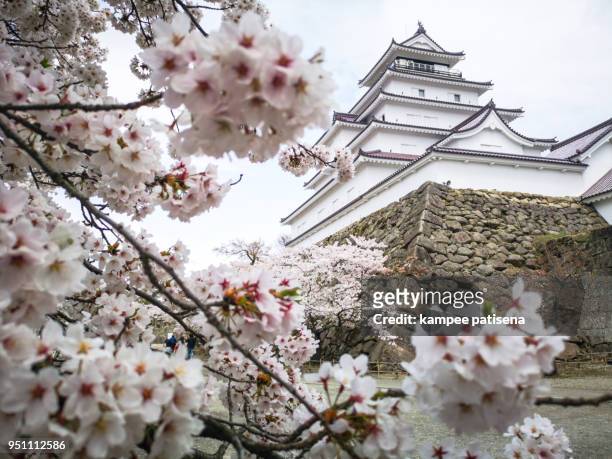 tsuruga castle or aizuwakamatsu castle with sakura trees, otemachi, aizuwakamatsu, fukushima prefecture, japan."n - tsuruga fukui imagens e fotografias de stock