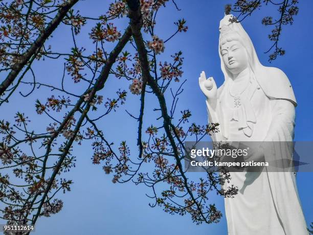 guanyin statue in funaoka,shibata,tohoku,japan. - guanyin bodhisattva stock-fotos und bilder