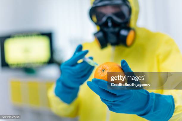scientist conducts experiments on a orange in laboratory - dna orange imagens e fotografias de stock