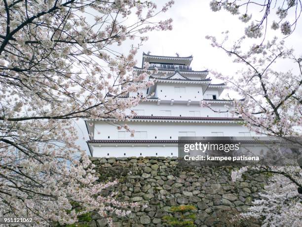 tsuruga castle or aizuwakamatsu castle with sakura trees, otemachi, aizuwakamatsu, fukushima prefecture, japan."n - tsuruga fukui imagens e fotografias de stock