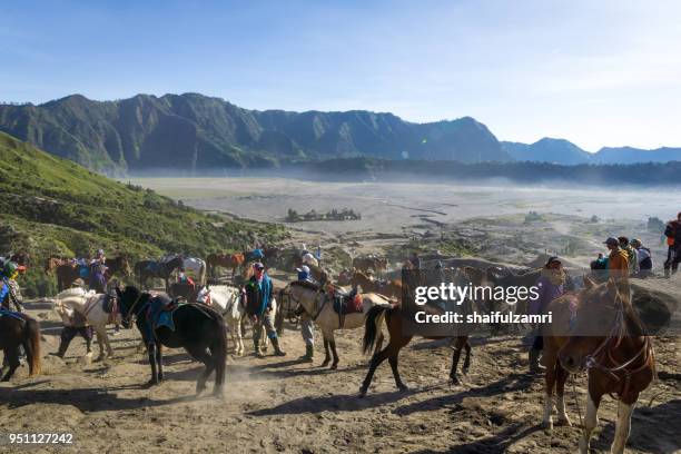 the horsemen service at the foothill of mount bromo, bromo tengger semeru national park, east java of indonesia. - bromo horse stock pictures, royalty-free photos & images