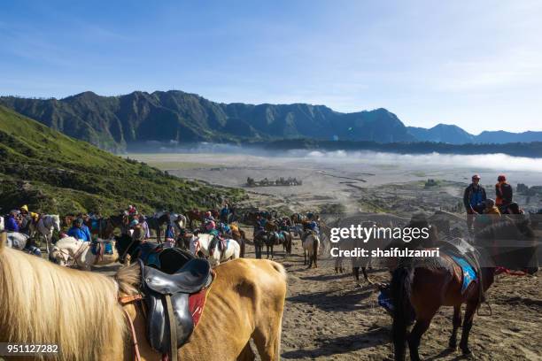 the horsemen service at the foothill of mount bromo, bromo tengger semeru national park, east java of indonesia. - bromo horse stock pictures, royalty-free photos & images