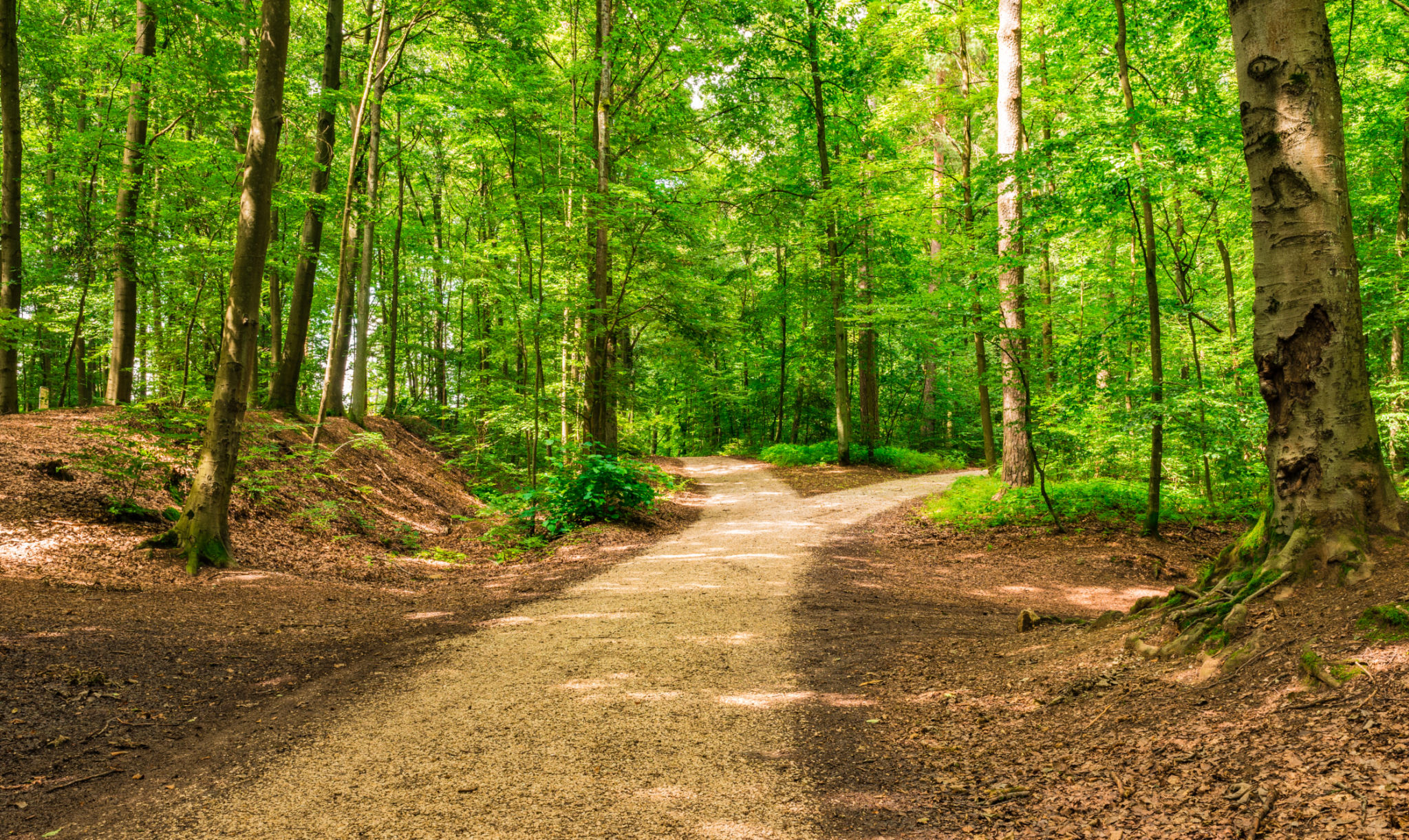 outdoor trail