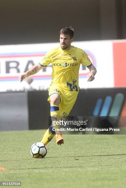 Nenad Tomovic of AC Chievo Verona in action during the serie A match between AC Chievo Verona and FC Internazionale at Stadio Marc'Antonio Bentegodi...