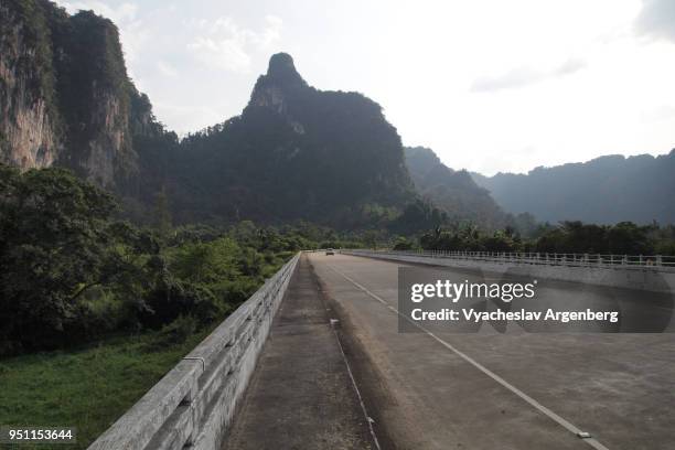 empty road in khao sok wilderness, surat thani province, thailand - surat thani province stock-fotos und bilder