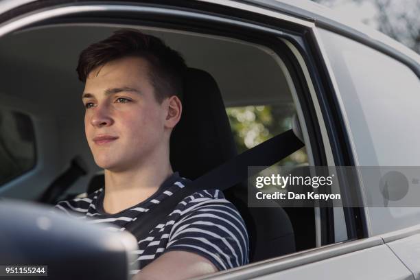 young driver - dan kenyon bildbanksfoton och bilder